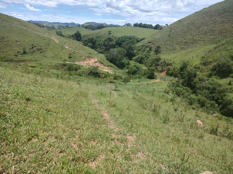 Fazenda à venda Centro com 1064800m² e 2 quartos por R$ 3.900.000 - whatsapp-image-2025-02-05-at-172327-3.jpeg