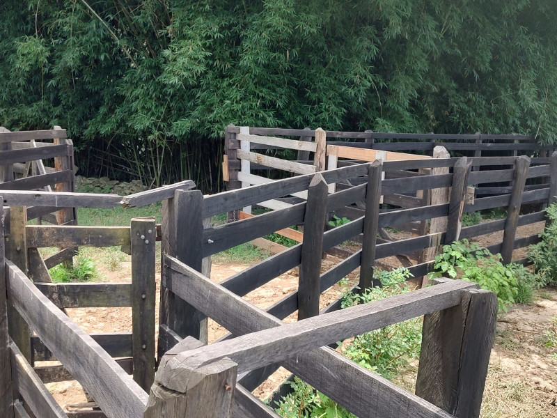 Fazenda à venda Centro com 1064800m² e 2 quartos por R$ 3.900.000 - whatsapp-image-2025-02-05-at-172327.jpeg