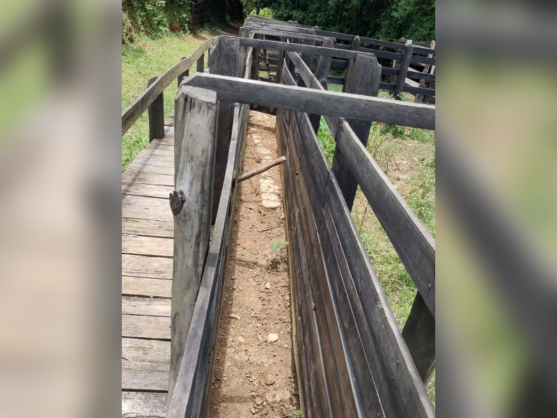 Fazenda à venda Centro com 1064800m² e 2 quartos por R$ 3.900.000 - whatsapp-image-2025-02-05-at-172328-3.jpeg