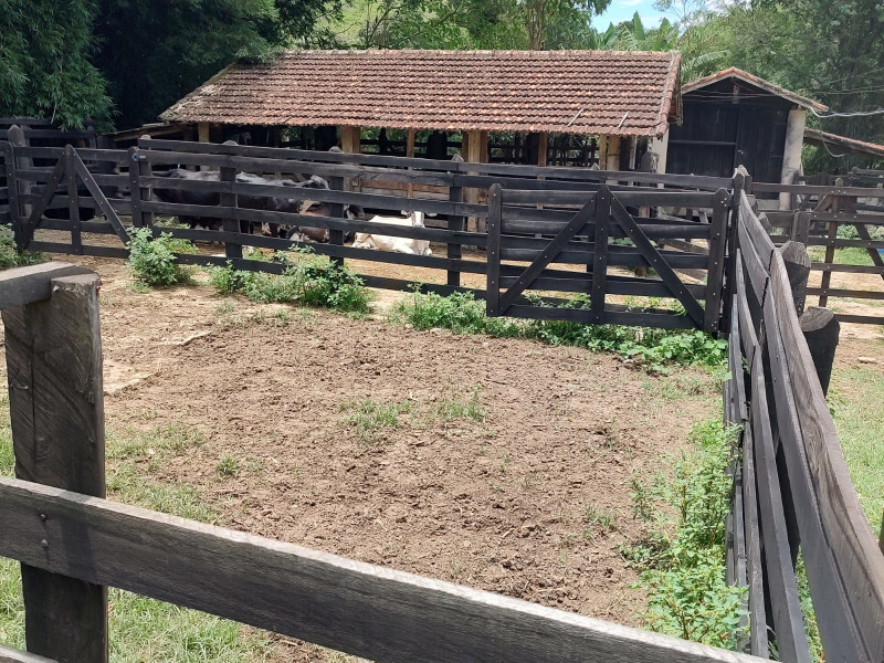 Fazenda à venda Centro com 1064800m² e 2 quartos por R$ 3.900.000 - whatsapp-image-2025-02-05-at-172328-4.jpeg
