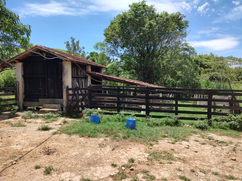 Fazenda à venda Centro com 1064800m² e 2 quartos por R$ 3.900.000 - whatsapp-image-2025-02-05-at-172329-1.jpeg