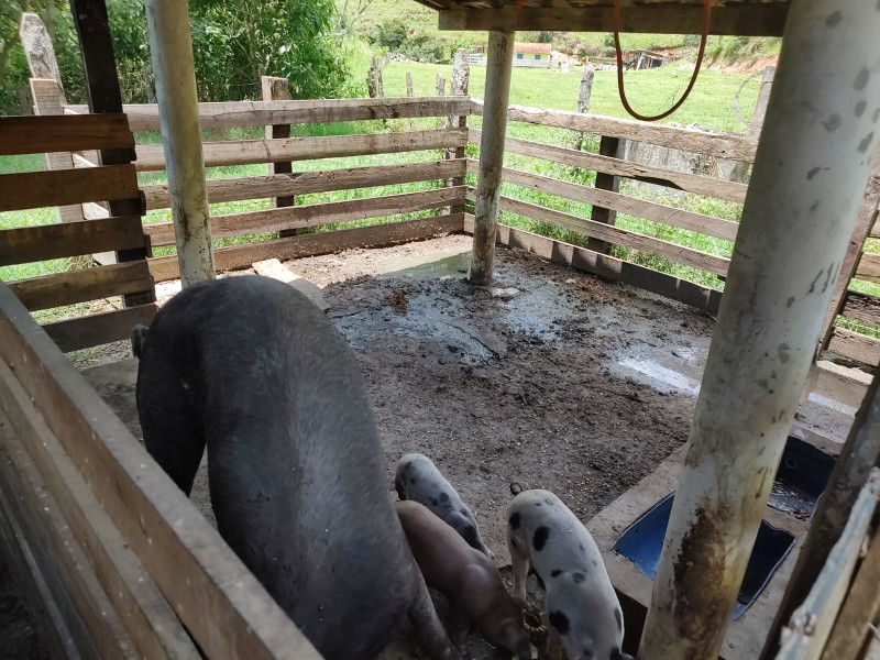 Fazenda à venda Centro com 1064800m² e 2 quartos por R$ 3.900.000 - whatsapp-image-2025-02-05-at-172329-3.jpeg