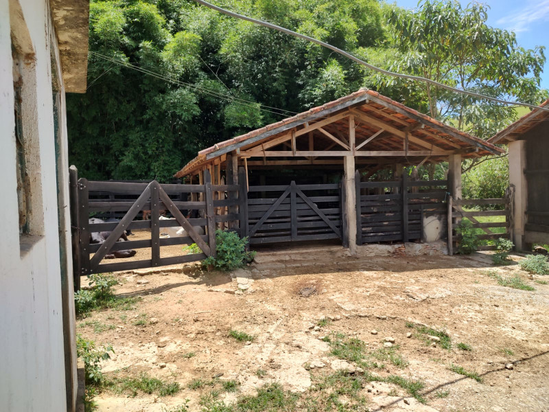 Fazenda à venda Centro com 1064800m² e 2 quartos por R$ 3.900.000 - whatsapp-image-2025-02-05-at-172329.jpeg