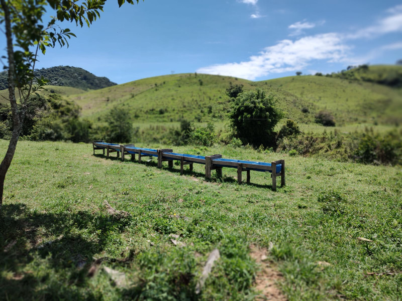 Fazenda à venda Centro com 1064800m² e 2 quartos por R$ 3.900.000 - whatsapp-image-2025-02-05-at-172330-2.jpeg