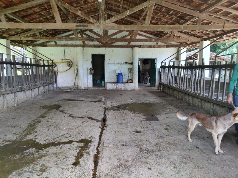 Fazenda à venda Centro com 1064800m² e 2 quartos por R$ 3.900.000 - whatsapp-image-2025-02-05-at-172330-3.jpeg