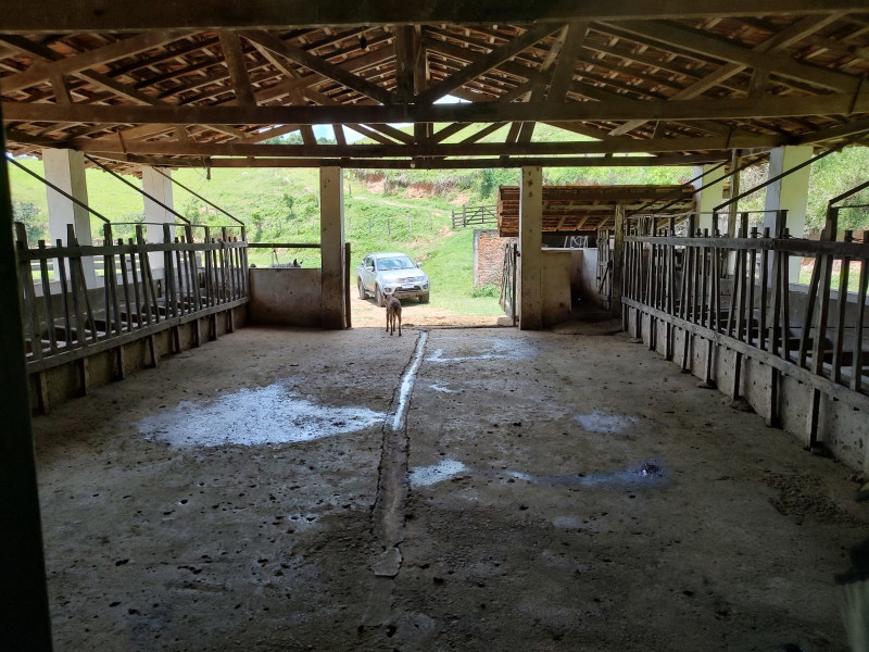 Fazenda à venda Centro com 1064800m² e 2 quartos por R$ 3.900.000 - whatsapp-image-2025-02-05-at-172330-4.jpeg