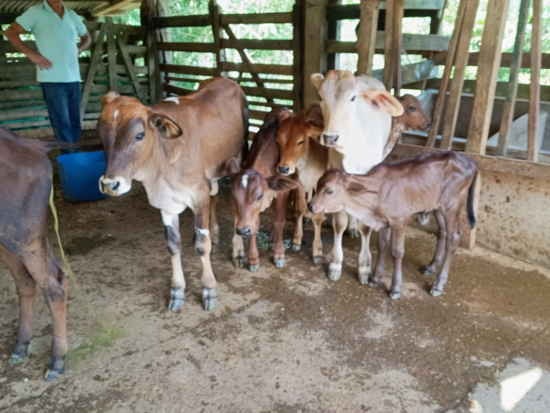 Fazenda à venda Centro com 1064800m² e 2 quartos por R$ 3.900.000 - whatsapp-image-2025-02-05-at-172331-2.jpeg