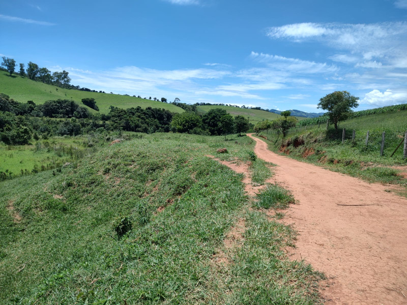 Fazenda à venda Centro com 1064800m² e 2 quartos por R$ 3.900.000 - whatsapp-image-2025-02-05-at-172331-4.jpeg