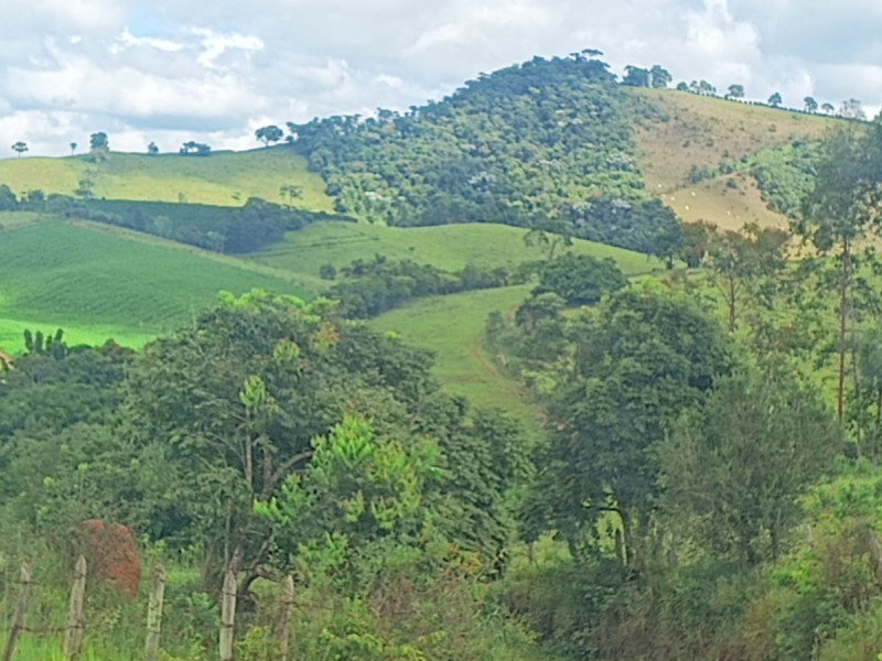 Fazenda à venda Centro com 1064800m² e 2 quartos por R$ 3.900.000 - whatsapp-image-2025-02-05-at-172332-1.jpeg