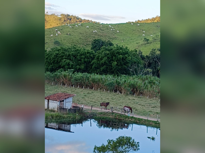 Fazenda à venda Centro com 1064800m² e 2 quartos por R$ 3.900.000 - whatsapp-image-2025-02-05-at-172332.jpeg