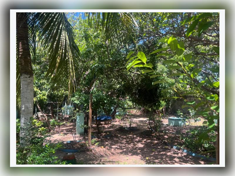 Casa à venda Iparana com 1170m² e 3 quartos por R$ 300.000 - 06.png