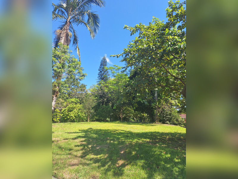 Chácara à venda Testo Central com 5741m² e 3 quartos por R$ 1.300.000 - 1000028872.jpg