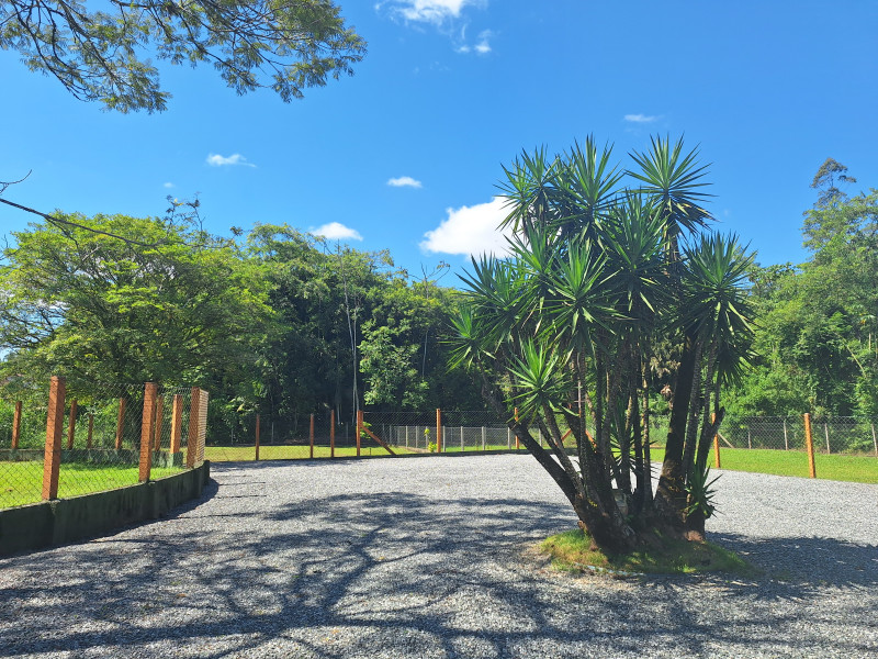 Chácara à venda Testo Central com 5741m² e 3 quartos por R$ 1.300.000 - 1000028876.jpg
