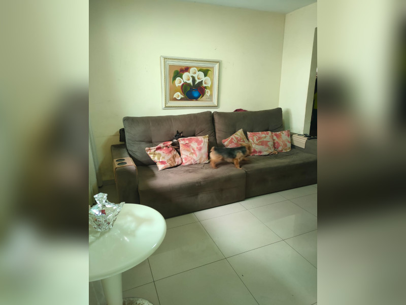Casa à venda São Gabriel com 200m² e 4 quartos por R$ 500.000 - img-20231014-wa0028.jpg