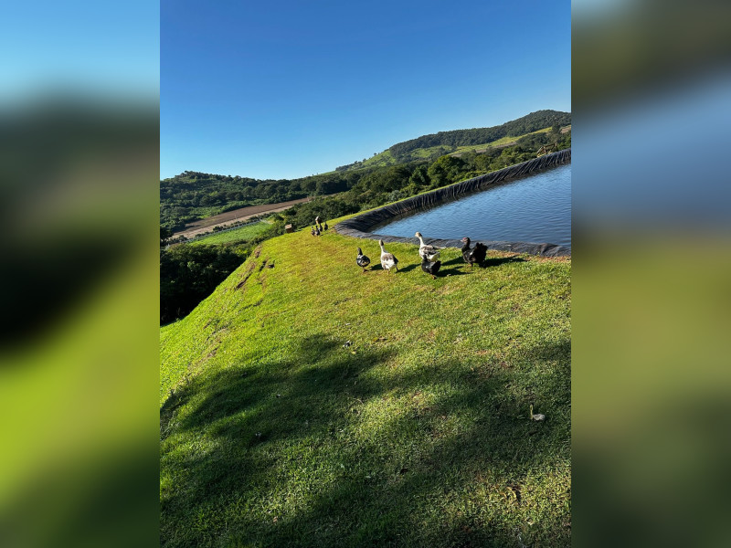 Sítio à venda Santa Maria com 56674m² e 1 quarto por R$ 1.750.000 - e1980c06-1f28-4b5c-a6e9-cc0c43229798.jpeg