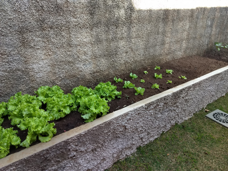 Casa à venda Fazenda dos Pires com 280m² e 3 quartos por R$ 1.850.000 - img-20190803-084456232.jpg