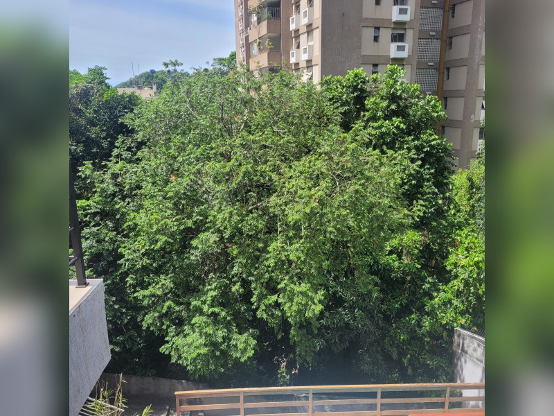 Casa à venda Laranjeiras com 450m² e 5 quartos por R$ 2.900.000 - 20241107-101313.jpg