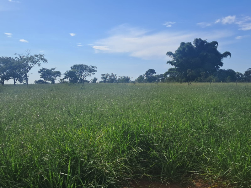Chácara à venda Área Rural de Uberlândia com 20000m² e 1 quarto por R$ 250.000 - gleba-2-1.jpg