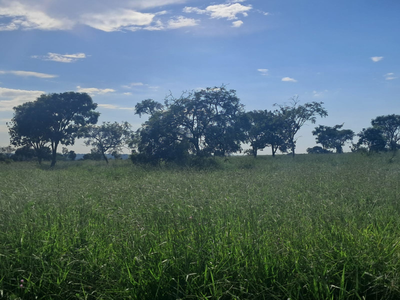 Chácara à venda Área Rural de Uberlândia com 20000m² e 1 quarto por R$ 250.000 - gleba-2-2.jpg