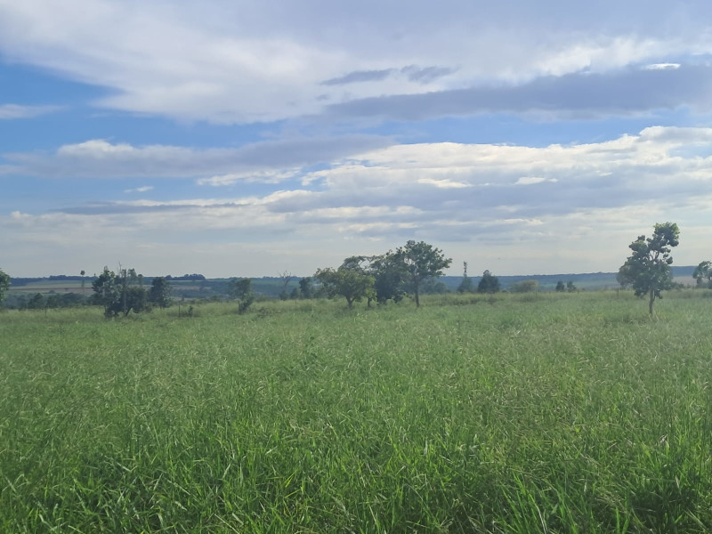 Chácara à venda Área Rural de Uberlândia com 20000m² e 1 quarto por R$ 250.000 - gleba-2-3.jpg