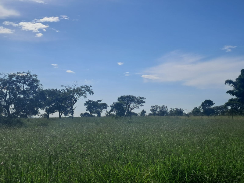 Chácara à venda Área Rural de Uberlândia com 20000m² e 1 quarto por R$ 250.000 - gleba-2-4.jpg