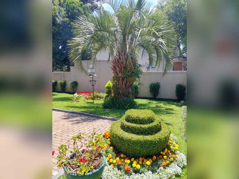 Casa de condomínio à venda Vila Luiza com 65m² e 2 quartos por R$ 695.000 - inbound1266165503439445597.jpg