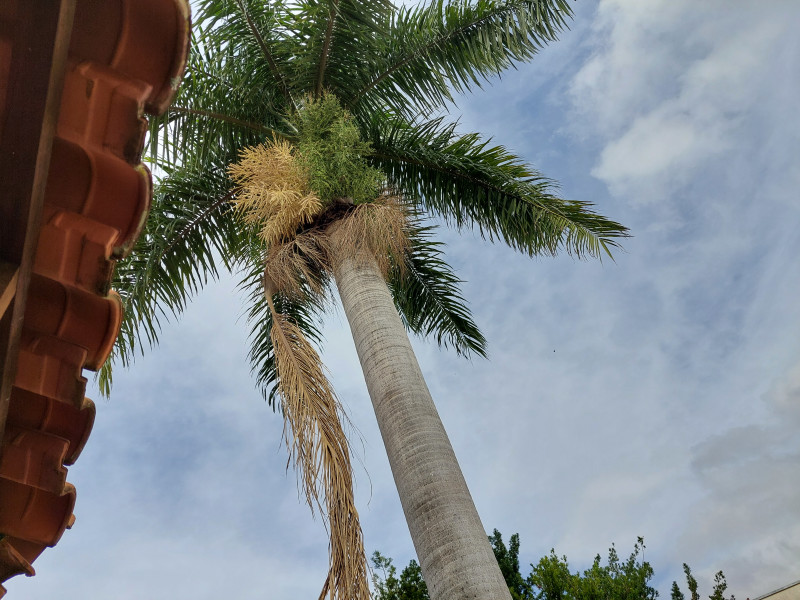 Casa de condomínio à venda Residencial Jardins com 240m² e 3 quartos por R$ 1.500.000 - 1000040512.jpg