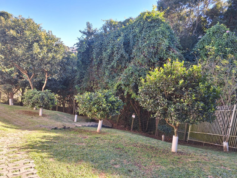 Casa de condomínio à venda Pilarzinho com 120m² e 3 quartos por R$ 638.000 - espaco-pet-2.jpeg