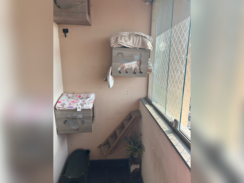 Apartamento à venda Rio Pequeno com 51m² e 2 quartos por R$ 280.000 - 1000210459.jpg