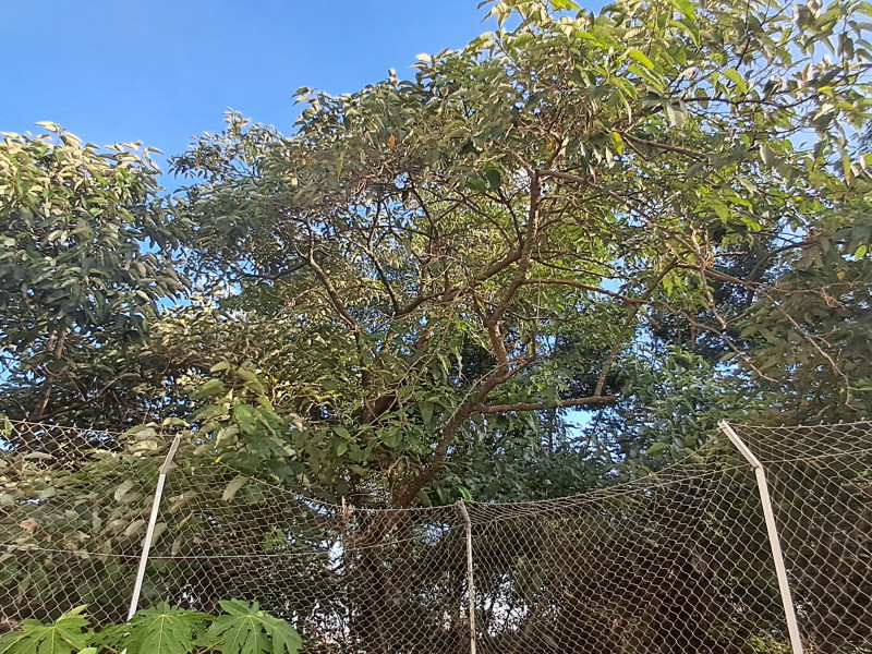 Apartamento à venda Parque Assunção com 138m² e 3 quartos por R$ 900.000 - 20250509-160927.jpg