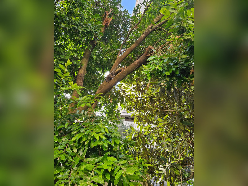 Apartamento à venda Vila Indiana com 86m² e 3 quartos por R$ 750.000 - img-20250626-wa0034.jpg