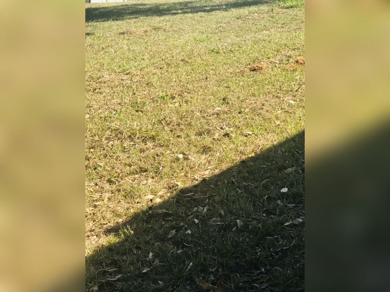 Terreno à venda Chácara Bela Vista com 1550m² e 1 quarto por R$ 1.100.000 - img-6877.jpg