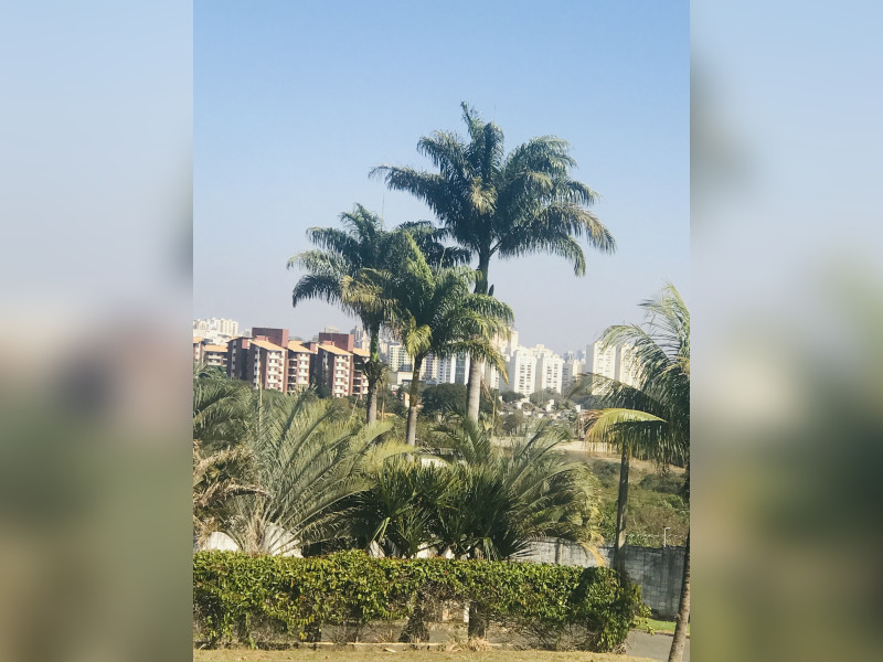 Terreno à venda Chácara Bela Vista com 1550m² e 1 quarto por R$ 1.100.000 - img-6883.jpg