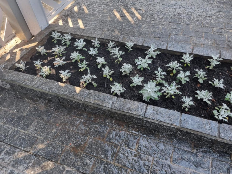 Casa à venda Jardim Satélite com 19967m² e 3 quartos por R$ 850.000 - whatsapp-image-2025-07-21-at-180830.jpeg