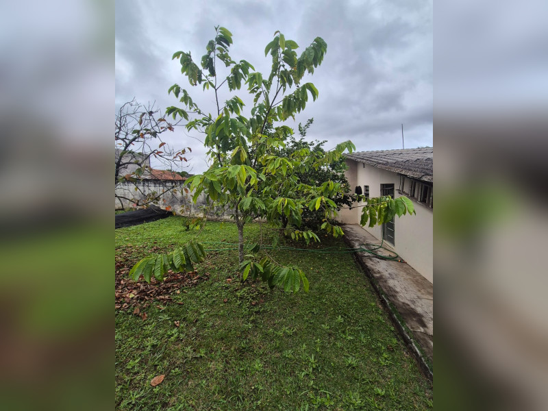 Terreno à venda Uberaba com 507m² e 1 quarto por R$ 999.900 - img-20250528-wa0102.jpg