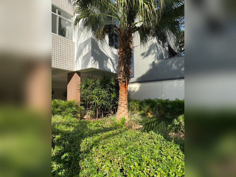 Apartamento à venda Vila Mariana com 87m² e 2 quartos por R$ 795.000 - whatsapp-image-2025-08-30-at-143121-13.jpeg