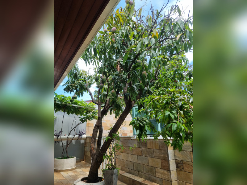 Casa à venda Jardim Maua II com 230m² e 4 quartos por R$ 990.000 - 20251101-121551.jpg