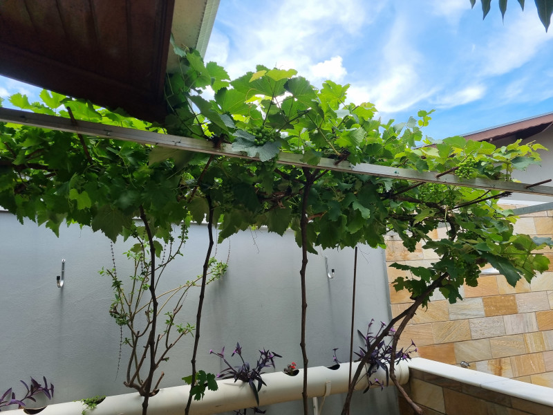 Casa à venda Jardim Maua II com 230m² e 4 quartos por R$ 990.000 - 20251101-121603.jpg