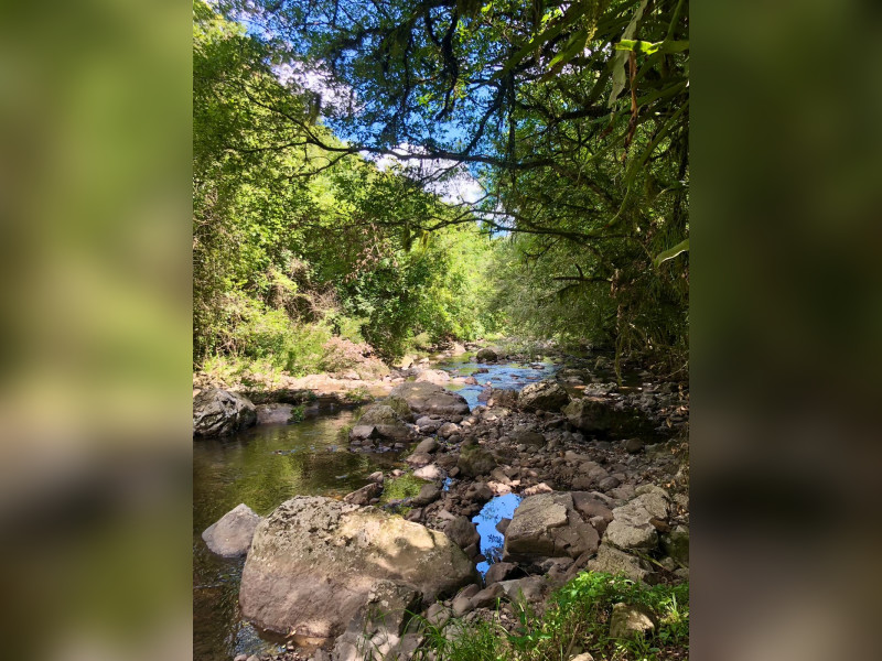 Chácara à venda Esplanada com 20000m² e 1 quarto por R$ 430.000 - whatsapp-image-2025-06-09-at-102122.jpeg