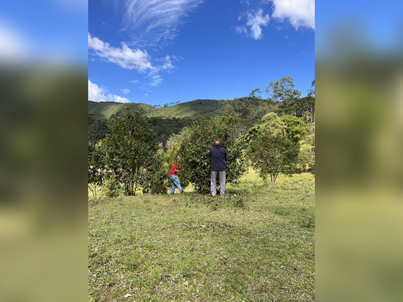 imóvel com 8700m² - Centro - Bocaina de Minas