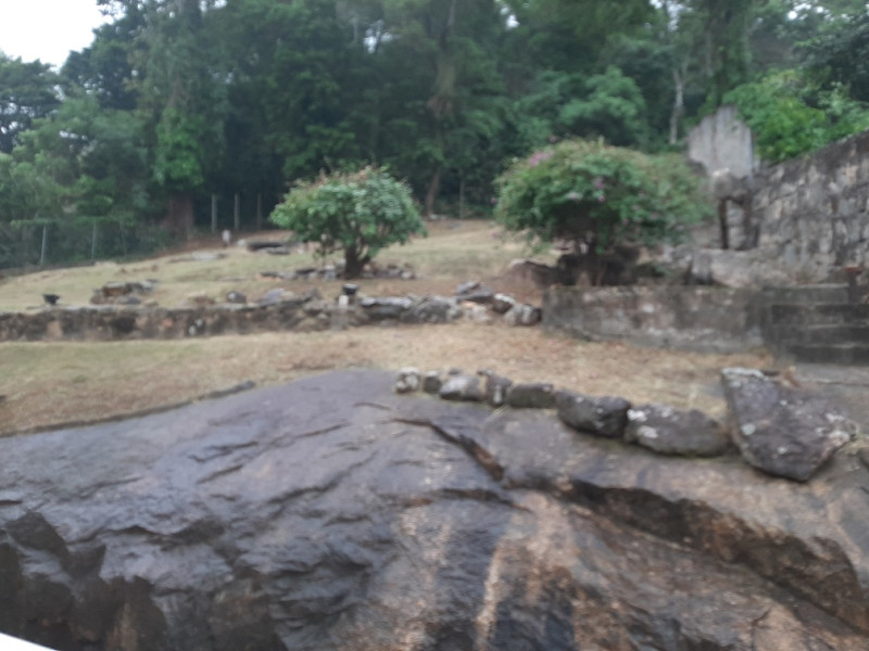 Casa de condomínio à venda Itanhangá com 380m² e 5 quartos por R$ 600.000 - 13-jardim-fundos-da-casa.jpg