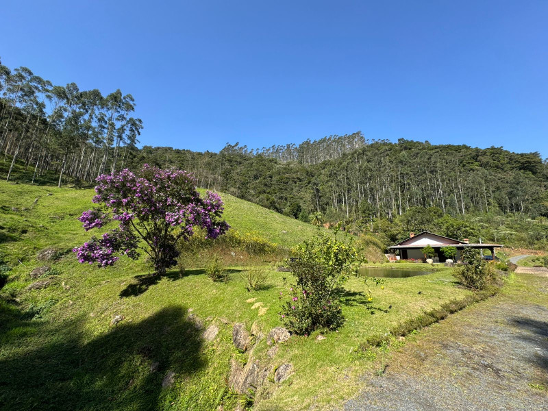 Sítio à venda Centro com 49000m² e 2 quartos por R$ 890.000 - imagem-do-whatsapp-de-2025-08-22-as-171536-8e441aed.jpg