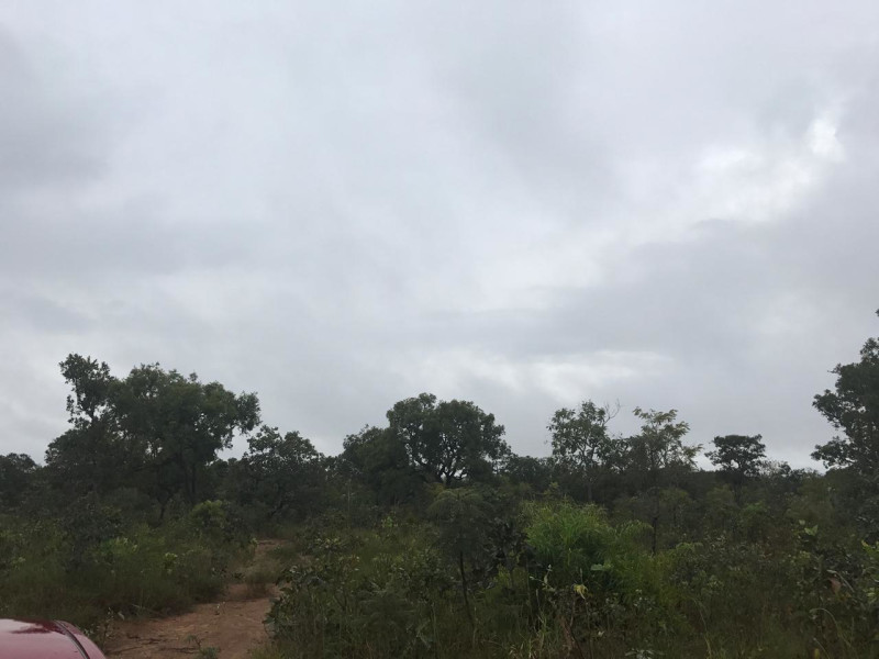 imóvel com 20000m² - Setor Habitacional Tororó (Jardim Botânico) - Brasília