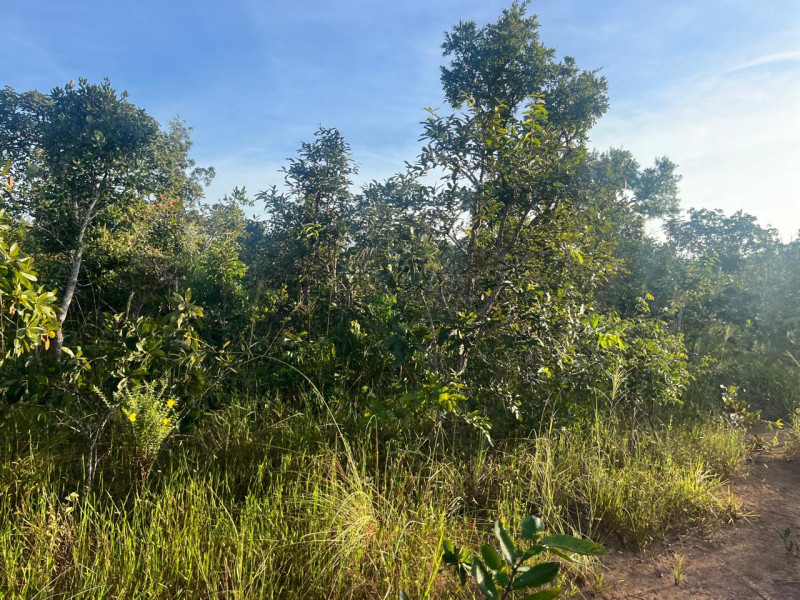 imóvel com 20000m² - Setor Habitacional Tororó (Jardim Botânico) - Brasília