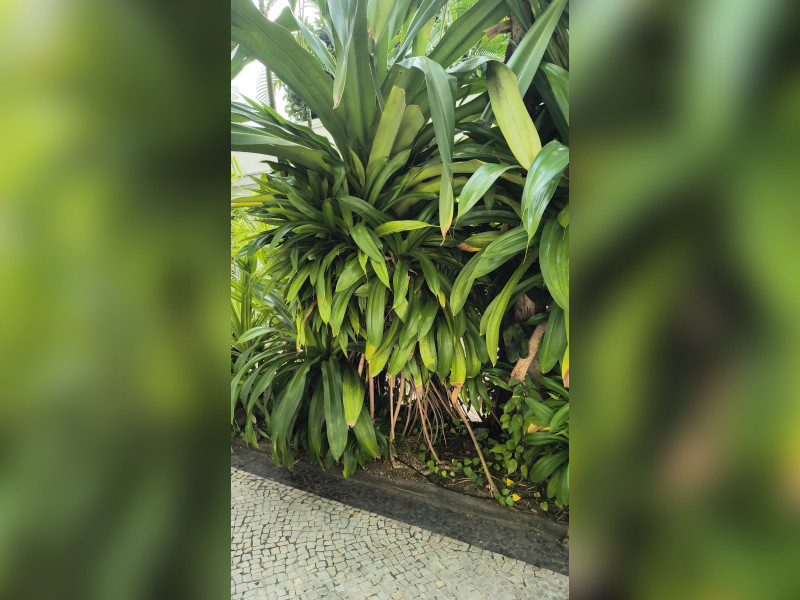 Apartamento à venda Méier com 86m² e 2 quartos por R$ 330.000 - img-20250628-wa0013.jpeg