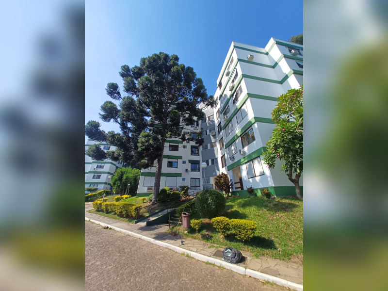 Apartamento à venda Nonoai com 45m² e 1 quarto por R$ 180.000 - 1000251054.jpg