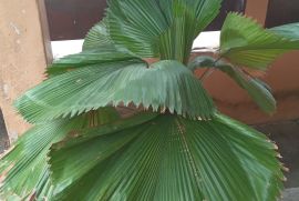 img-20240223-wa0001.jpg