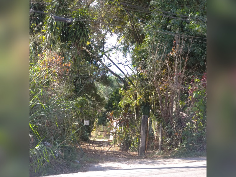 Sítio à venda Lavapés com 14000m² e 5 quartos por R$ 1.600.000 - 1.jpeg