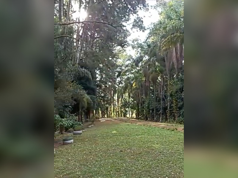 Sítio à venda Lavapés com 14000m² e 5 quartos por R$ 1.600.000 - 2-2.jpeg