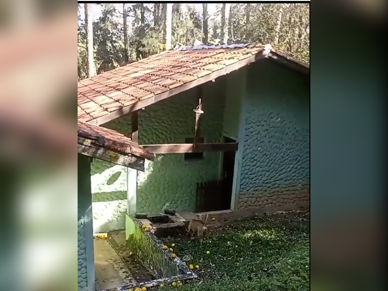 Sítio à venda Lavapés com 14000m² e 5 quartos por R$ 1.600.000 - lavapes5.png